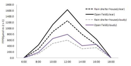 노지 및 비가림하우스의 광합성유효광량자속 밀도(PPFD)