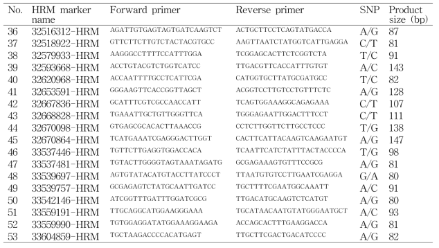 파프리카 5번 염색체 위의 ms1 유전자좌 주변에 있는 53개의 HRM용 프라이머 리스트