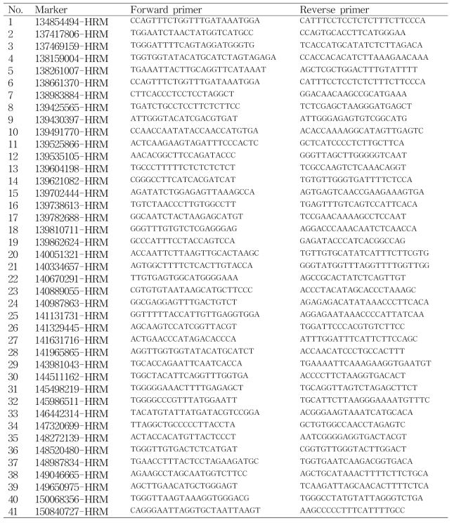 고추 1번 염색체 위의 ms3 유전자좌 주변에 있는 41개의 HRM용 프라이머 리스트