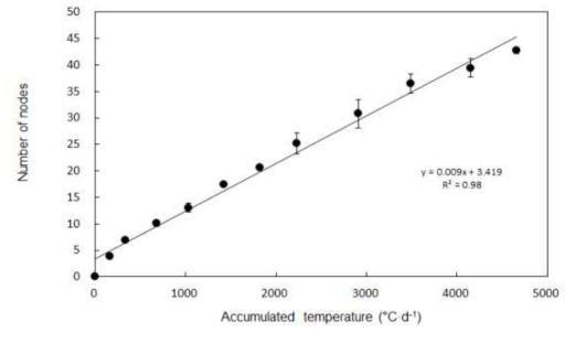 적산온도에 따른 마디 수 증가 추이(시로코)