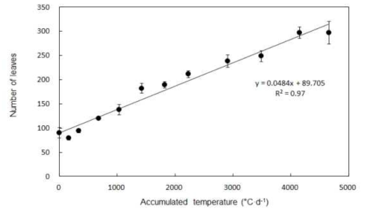적산온도에 따른 엽수 증가 추이(시로코)