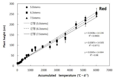 적색품종(시로코)의 적산온도에 따른 초장변화