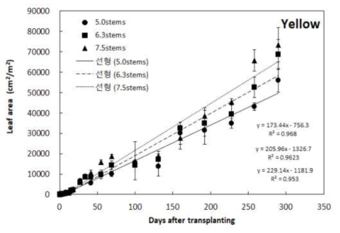 황색품종(볼란테)의 이식후 일수에 따른 엽면적 변화