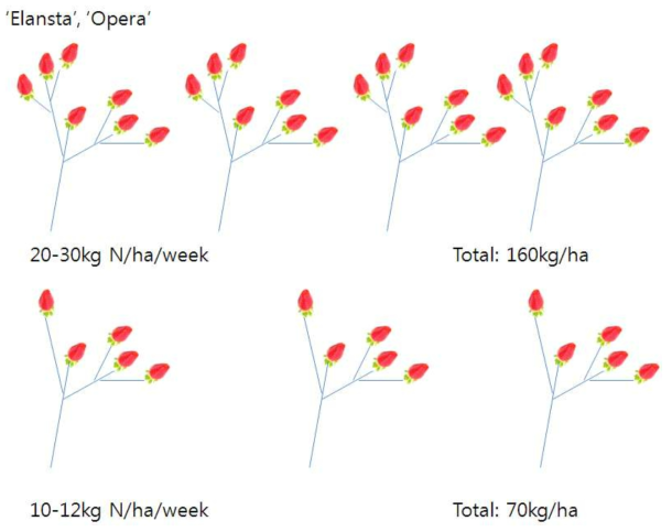 Effect of amount of nitrate supply on strawberry flowers and clusters on ‘Elansta’ and ‘Opera’ (Phillip, 2018 by personal communication)