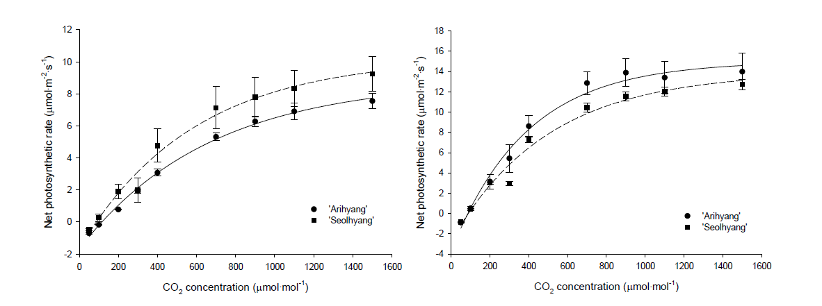딸기 ‘아리향’과 ‘설향’의 온도와 CO2 조건별 광합성 반응