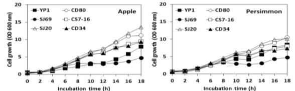 Growth curves of six types of selected yeast on apple and persimmon juice. SJ20; Pichia anomala SJ20, SJ69; Hanseniaspora uvarum SJ69, YP1; P. caribbica YP1, CS7-16; P. anomala CS7-16, CD80; Candida zemplinina CD80, CD34; P. kluyveri CD34