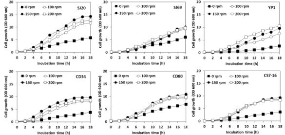 Growth curves of six types of selected yeast depending on different shaking speeds in apple juice. All samples were prepared to optimal sugar concentration and culturing tempurature revealed by previous experiments. SJ20; Pichia anomala SJ20, SJ69; Hanseniaspora uvarum SJ69, YP1; P. caribbica YP1, CS7-16; P. anomala CS7-16, CD80; Candida zemplinina CD80, CD34; P. kluyveri CD34