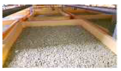 Industrial scale fermentation of A. oryzae koji seed