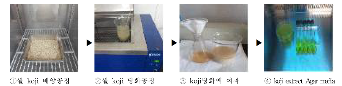 Making process of koji extract medium for fungal stock agar media