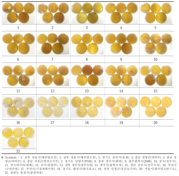 누룩 표면(외부)에서 곰팡이 분리