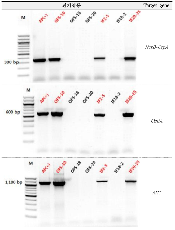 The result of PCR for target genes related biosynthesis of Aflatoxin