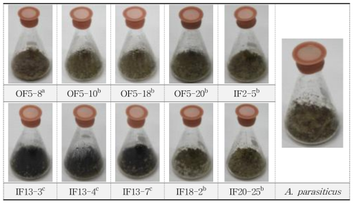 The same amount of mold spores cultivated in wheat bran. a : Aspergillus turbingensis, b : Aspergillus oryzae, c : Aspergillus niger, Control : A. parasiticus