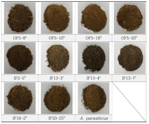 The dried fungal starter for Aflatoxin extraction a : Aspergillus turbingensis, b : Aspergillus oryzae, c : Aspergillus niger, Control : A. parasiticus