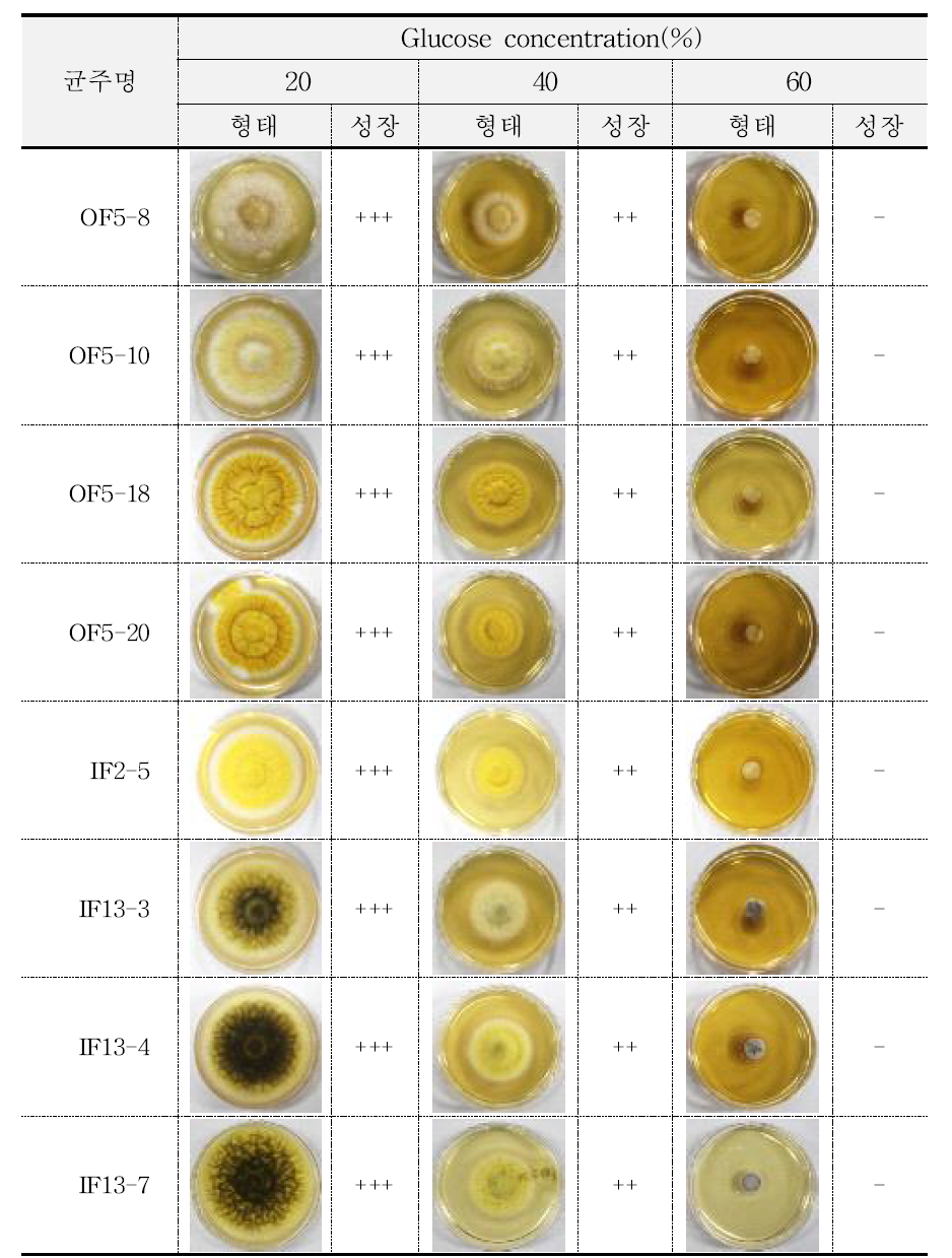 The growth ability of fungal starter by glucose concentration(solid medium) Symbols : +++ : 3cm 이상, ++ : 2cm 이상, + : 1cm 이하