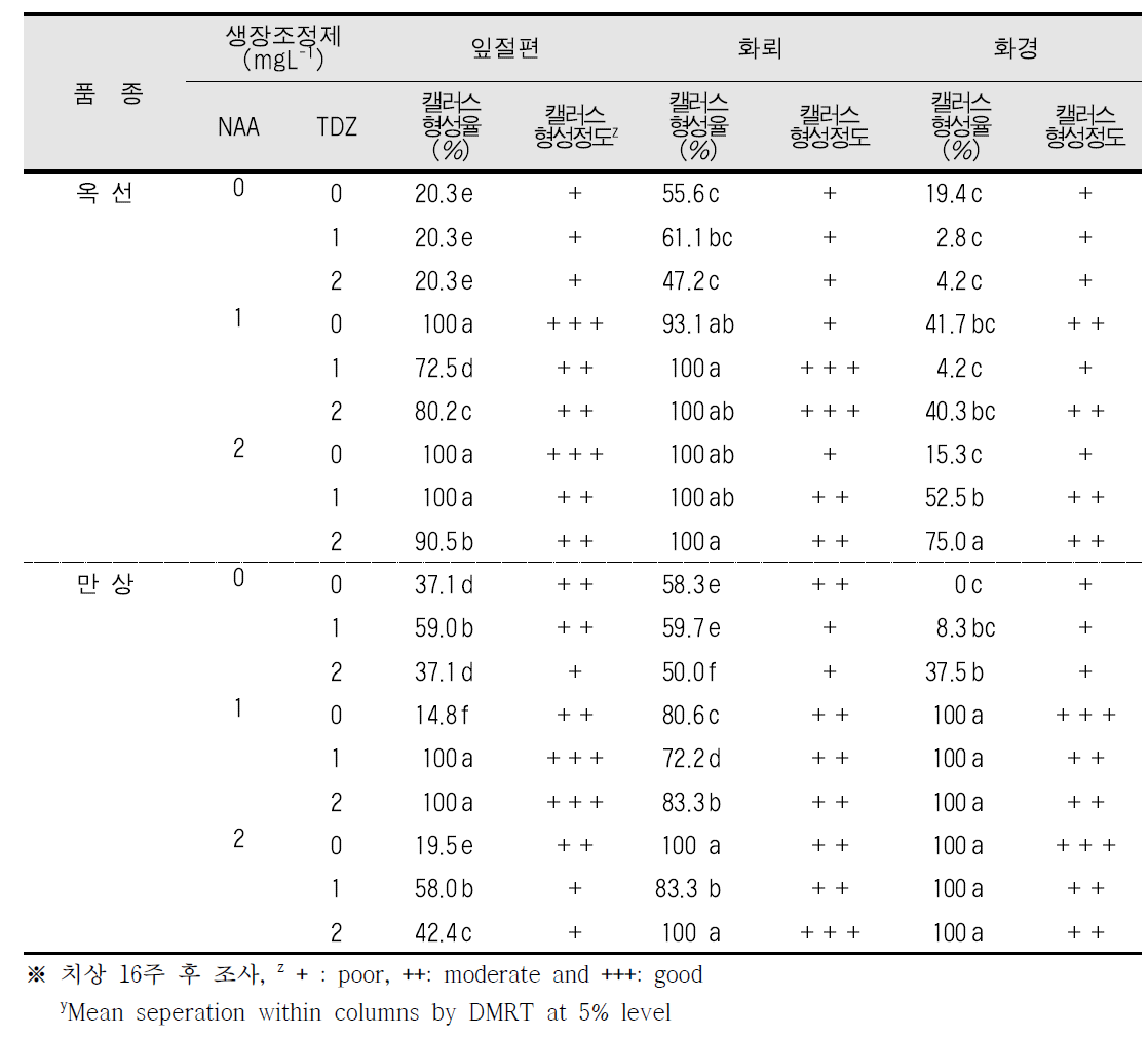 생장조정제 종류 및 농도 따른 잎 치상 부위별 캘러스 형성 비교