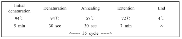 Condition of colony PCR used in this study