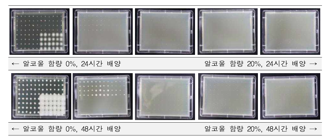 Alcohol tolerance of different wild yeasts (1)