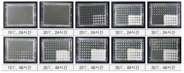 Optimization of temperature for wild yeasts growth (1)