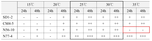 Optimization of temperature for wild yeasts growth (2)