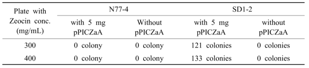 Transformation of N77-4 and SD1-2 strains