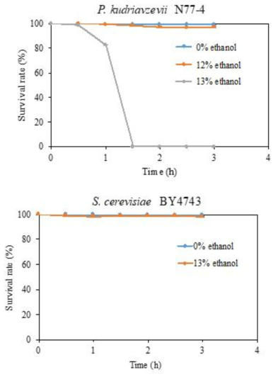 Survival rate of N77-4 and lab (BY4743) strains under liquid culture conditions containing 0%, 12% and 13% ethanol