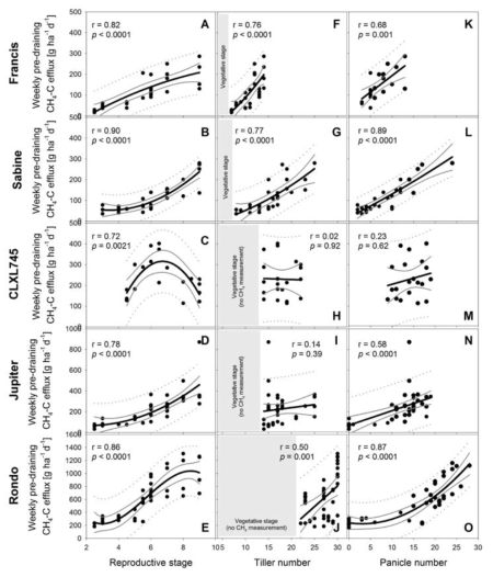 Weekly-measured pre-draining CH4 emissions as a function of reproductive stage, tiller number, and mature panicle number among five rice cultivars in the 2016 greenhouse study. Regressions are linear unless residuals exhibited non-random patterns, in which case a first order polynomial model was used, with r being the correlation coefficient from each linear or polynomial regression. Black solid, grey solid, and grey dotted lines represent the regression line and 95% confidence and prediction bands, respectively. Gray sections in F to J represent the vegetative stage during which CH4 measurements were not conducted and the tiller number data is not presented