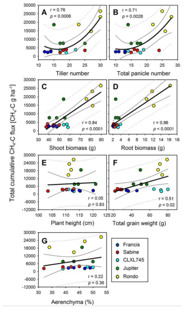 Relationships among five rice cultivars between number of tillers (A), number of total panicles (B), shoot biomass (C), root biomass (D), plant height (E), grain weight (F), and % aerenchyma (G) with total CH4 emissions in the 2016 greenhouse study. Either polynomial or linear regression models with higher significance were selected and r indicates correlation coefficient. Black solid, grey solid, and grey dotted lines represent regression lines and 95% confidence and prediction bands, respectively. Blue dot, Francis; red, Sabine; light blue, CLXL745; green, Jupiter; yellow, Rondo