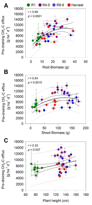 Pre-draining cumulative CH4 emissions among Francis, Rondo, and a nine FR-RILs (2017 greenhouse study A) as a function of height, root and shoot biomass at four different developmental stages (the synchronized 2017 greenhouse study B) (R1 pre-heading; R4-5 late heading to early grainfill, late grainfill R8-9; and at harvest). r indicates correlation coefficients for the linear or polynomial regressions. Black solid, grey solid, and grey dotted lines represent regression, 95% confidence and prediction band, respectively