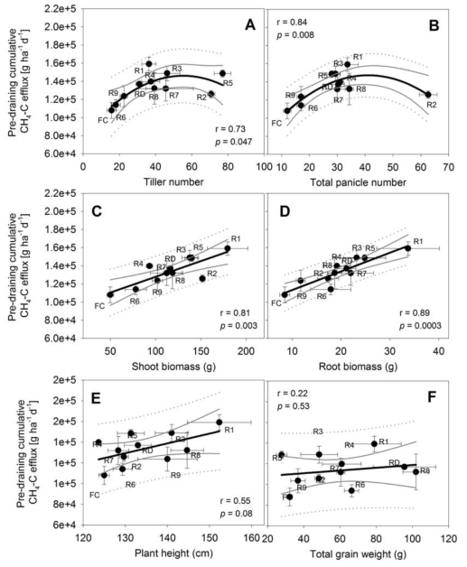 Relationships among Francis (FC), Rondo (RD), and nine RILs (R1-R9) between pre-draining cumulative CH4 emissions and agronomic traits measured at grain maturity (2017 greenhouse study A): tiller number (A), total panicle number (B), shoot biomass (without grain) (C), root biomass (D), and plant height (E) and total grain weight (F). r indicates correlation coefficients for the regressions; polynomial regressions were used when linear regression residuals exhibited non-random patterns. Black solid, grey solid, and grey dotted lines represent regression, 95% confidence and prediction band, respectively