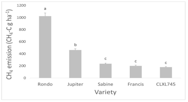 Average CH4 emissions of five rice varieties. The same letters indicate no significance with 5% probability by Duncan’s multiple range test. After transplanting, methane sample was collected at 127 days for ′Rondo′ and ′Jupiter′, 105 days for ′Sabine′ and ′Francis′, and 92 days for ′CLXL745′