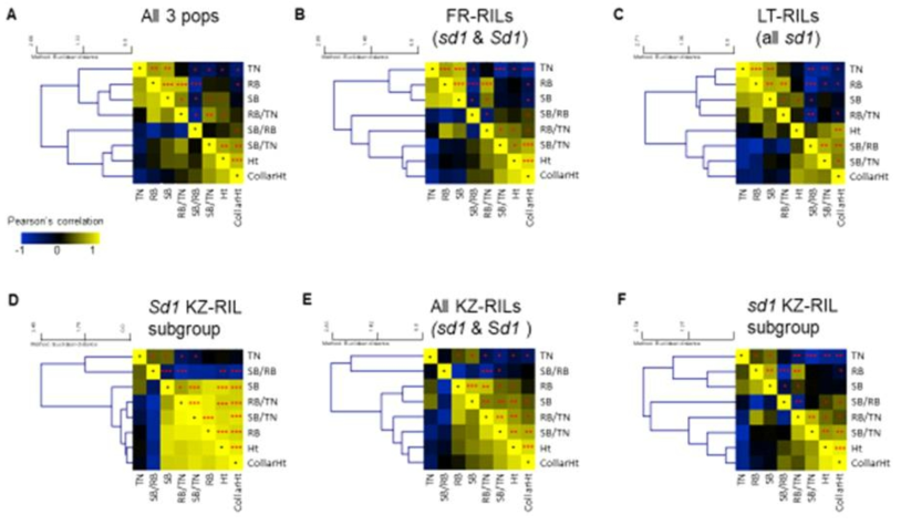 HeHeatmaps showing relatedness (i.e. clustering) among traits calculated by combining data from all three populations (A), as well a per each of three individual populations: FR-RILs (B), LT-RILs (C), KZ-RILS combined (E), and KZ-RILs subsetted as Sd1 (D) and sd1 (F) progeny. Single, double, and triple red stars indicate significance of the trait-trait correlations at the α= 0.05, 0.01, and 0.001 levels, respectively