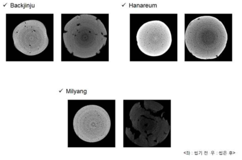 Micro CT scanner를 활용한 식품 시료(쌀가루 젤)의 2D 이미지