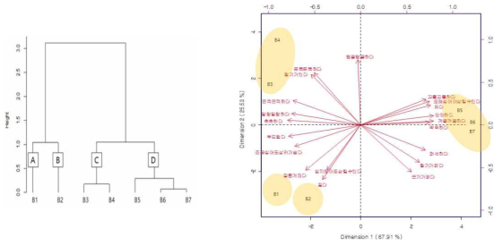 군집분석 및 주성분 분석