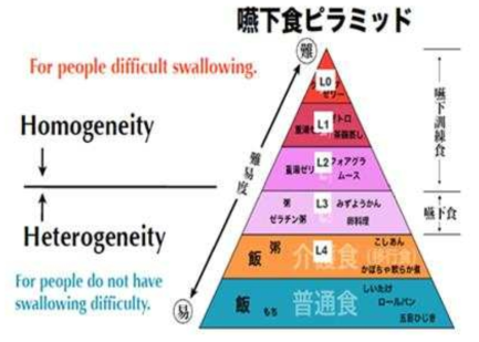 Dysphaia Diet Pyramid