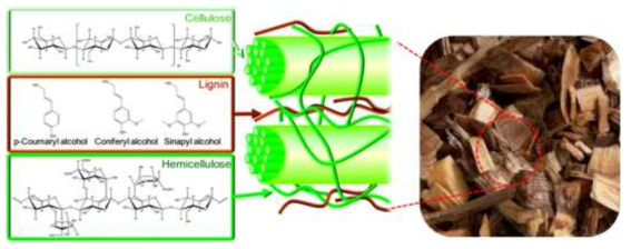 목재 부산물의 성분과 구조