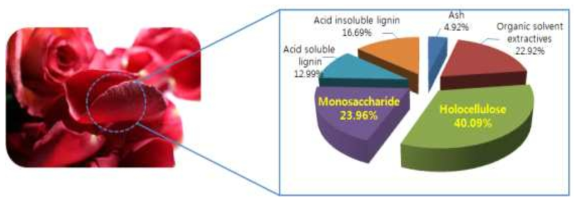 장미 꽃잎 성분 분석