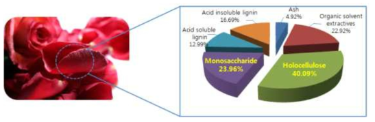 장미 꽃잎 성분 분석