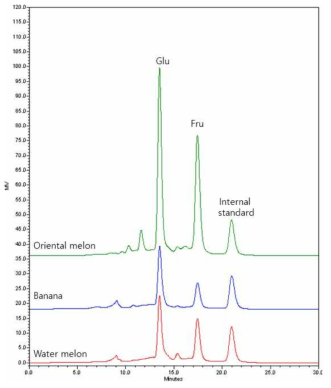 HPLC 분석을 통한 과일 유래 천연 당화액의 성분 조사