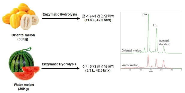 과일 유래 천연 당화액 대량 생산