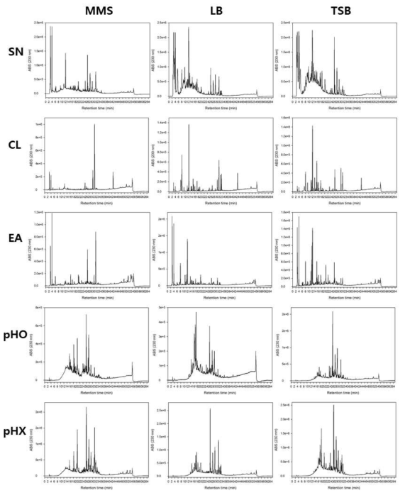 GH1-13의 다양한 배지 및 추출법을 이용한 추출한 물질의 HPLC 크로마토그램 SN: 배양 상등액 후 동건건조, CL: 클로로포름 추출물, EA: 에틸아세테이트 추출물, pHO: 산 처리 후 SPE 정제 시료, pHX: 산 처리하지 않은 SPE 정제 시료