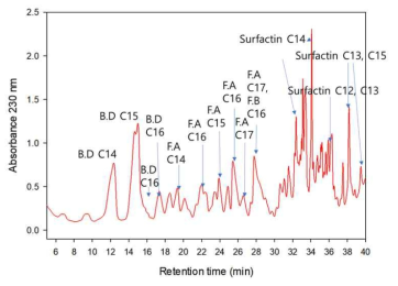 GH1-13 배양액에 포함되어 있는 리포펩타이드 HPLC 크로마토그램