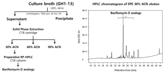 Bacillomycin D analogs의 정제과정과 SPE 정제단계에서 30% ACN에 의해 용출된 fraction 의 HPLC chromatogram