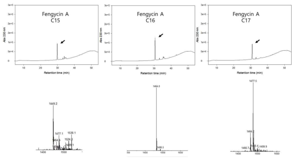 정제된 Fengycin 유사체들의 HPLC 크로마토그램과 MS 스펙트럼