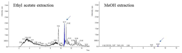 유기용매를 이용한 IAA 추출 후 LC-MS 의 total ion chromatogram (TIC) 화살표는 IAA 피크를 나타낸다