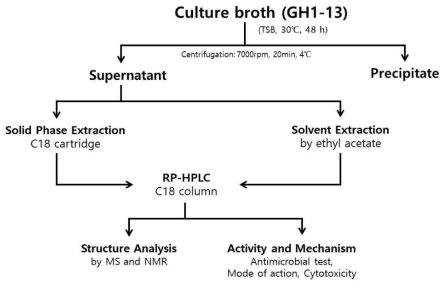 Solid phase extraction (SPE)를 이용한 cyclic lipopeptide의 1차적 분리 방법 모식도. 에틸아세테이트를 사용한 Surfactin family 추출. RP-HPLC를 이용한 Bacillomycin D, Fengycin, Surfactin 의 최종 순수 분리·정제 방법