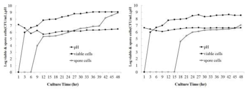 Bacillus velezensis GH1-13의 5 L jar fermenter 배양 후 프로파일 비교 (좌 : MMS, 우 : TSB)