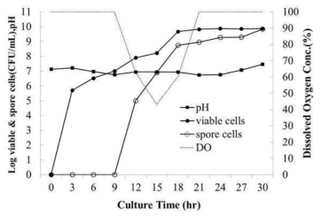 최적배지(MMS)를 이용한 Bacillus velezensis GH1-13의 500 L 대량배양