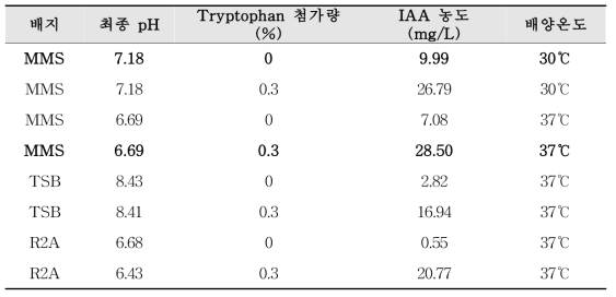 Bacillus velezensis GH1-13의 IAA 생산량 비교