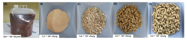 B. velezensis GH1-13로 개발된 미생물 제형 및 보증 균체 수 (A)액상, (B)분말, (C)입제, (D)펠렛Ⅰ, (E) 펠렛II
