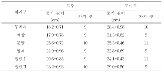 B. velezensis GH1-13 미생물 제형별 처리 3주 후 미생물 제형별 고추, 토마토에 대한 줄기 길이와 가지 개수 조사